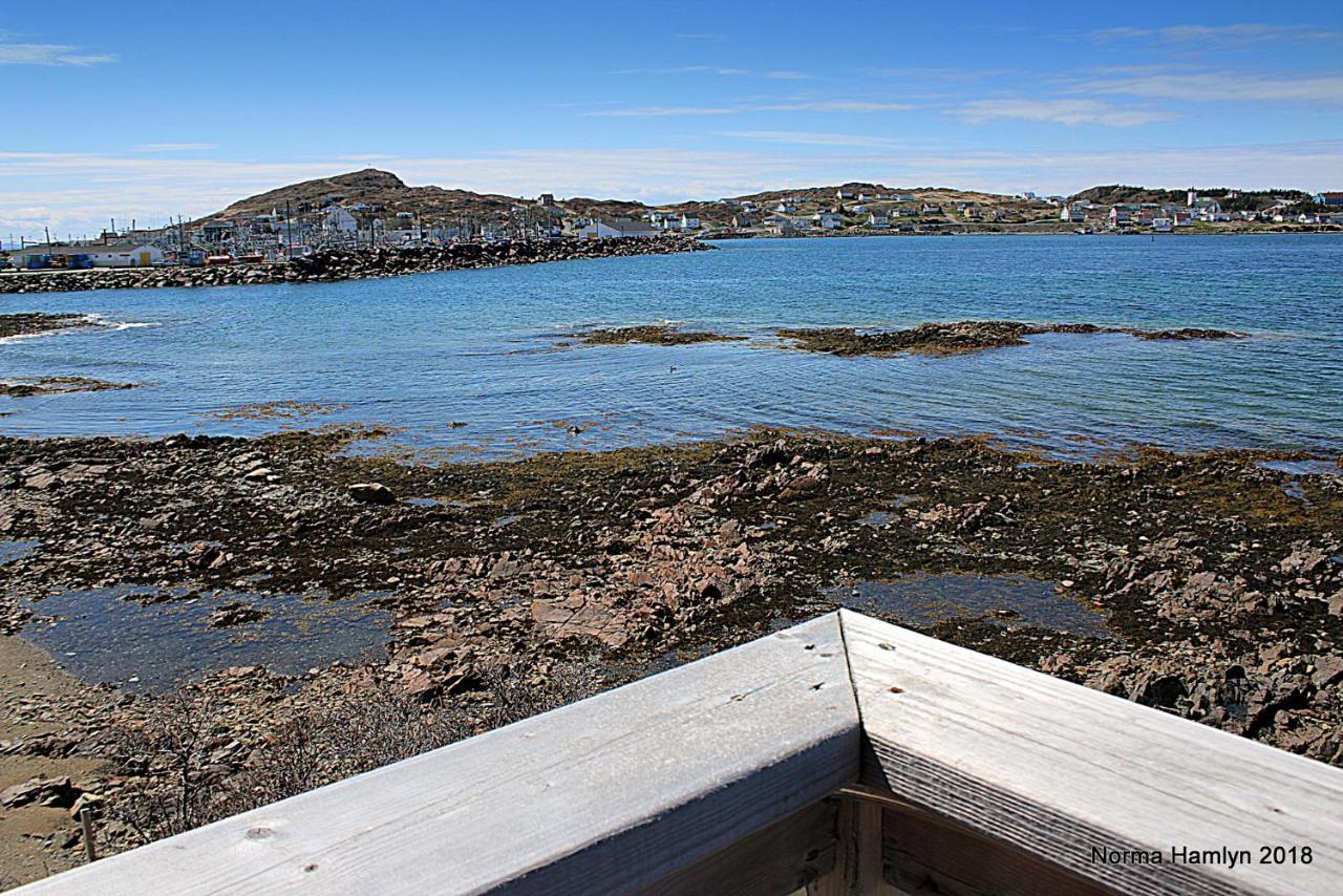 Toulinguet Inn - Suites Twillingate Exterior foto